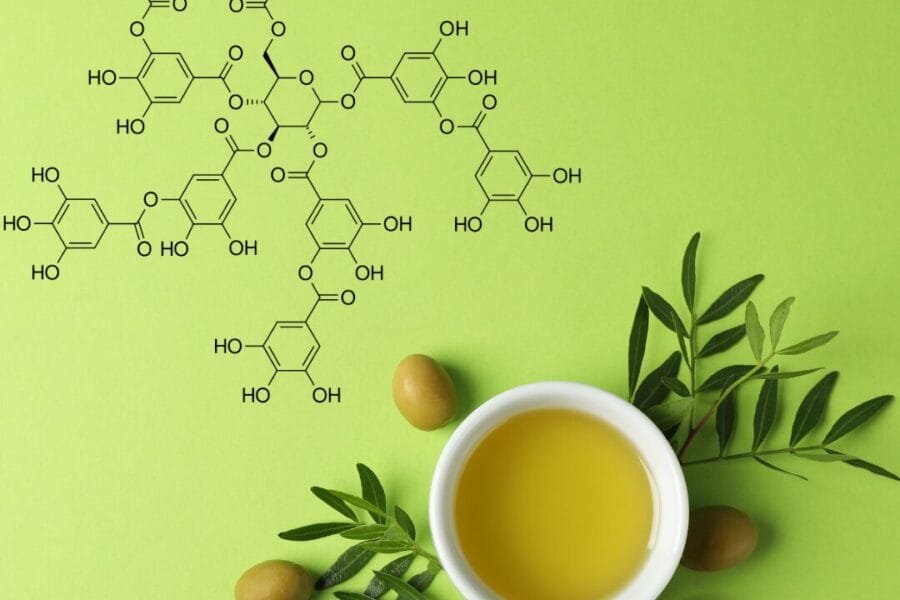 Polifenoliai alyvuogių aliejuje
